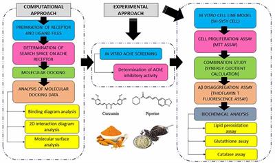 Synergistic Effects of Curcumin and Piperine as Potent Acetylcholine and Amyloidogenic Inhibitors With Significant Neuroprotective Activity in SH-SY5Y Cells via Computational Molecular Modeling and in vitro Assay
